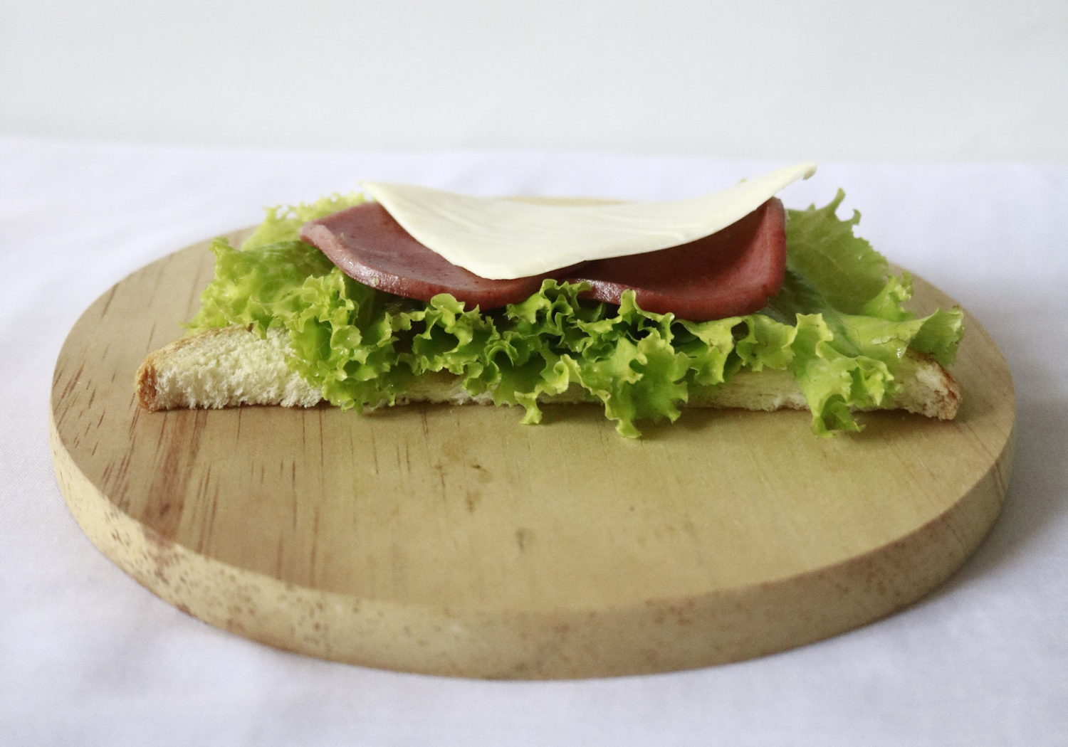 Delicious Sandwich 1